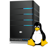 Linux Hosting Malaysia